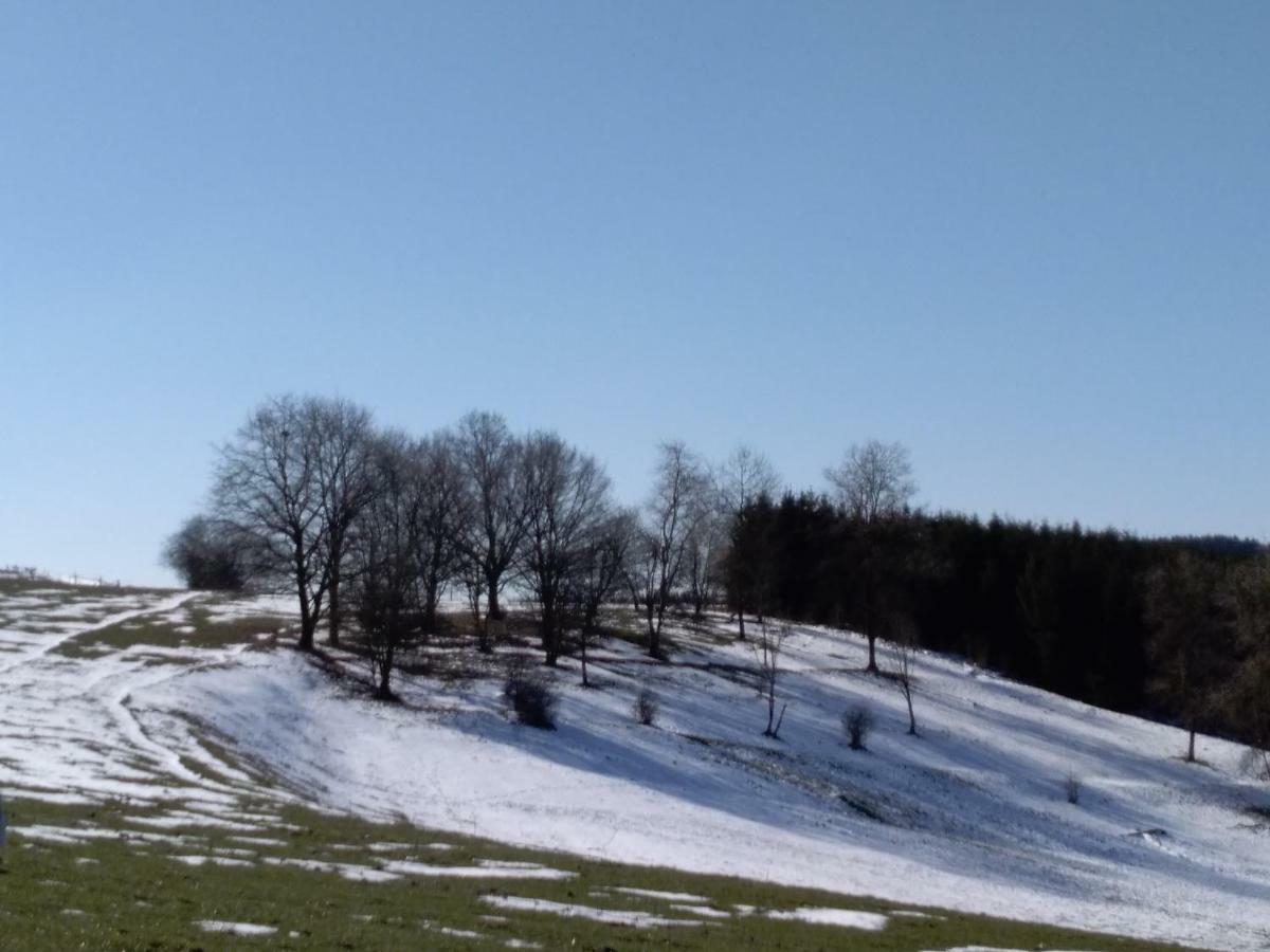 Oh Deer! Lägenhet Vaux-sur-Sure Exteriör bild